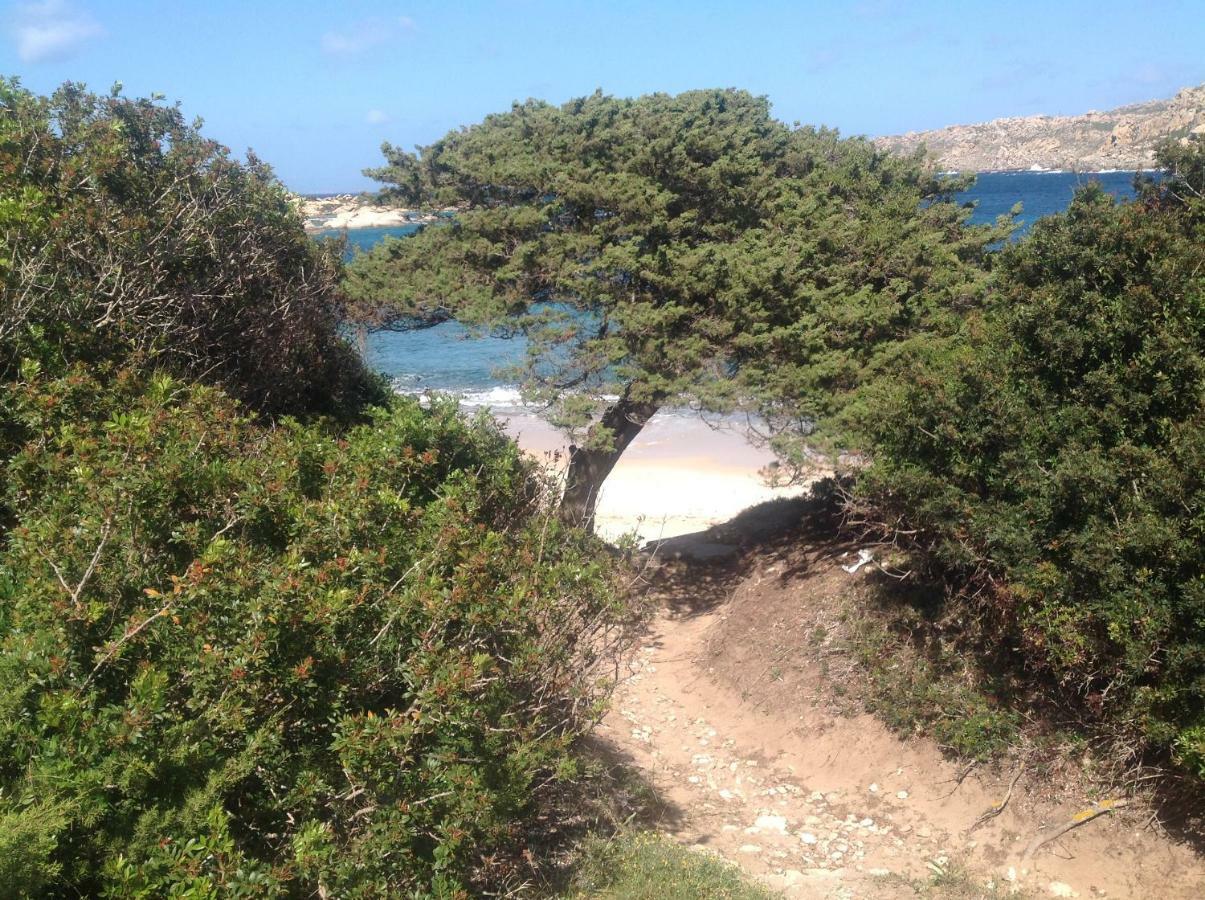 Stella Maris Διαμέρισμα Santa Teresa Gallura Εξωτερικό φωτογραφία