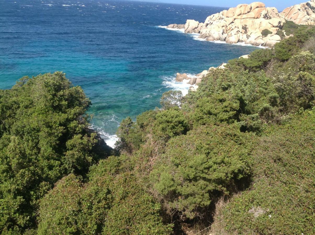 Stella Maris Διαμέρισμα Santa Teresa Gallura Εξωτερικό φωτογραφία